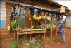 Produce Stand